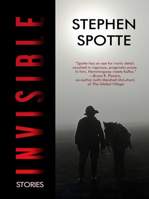 cover image of Invisible